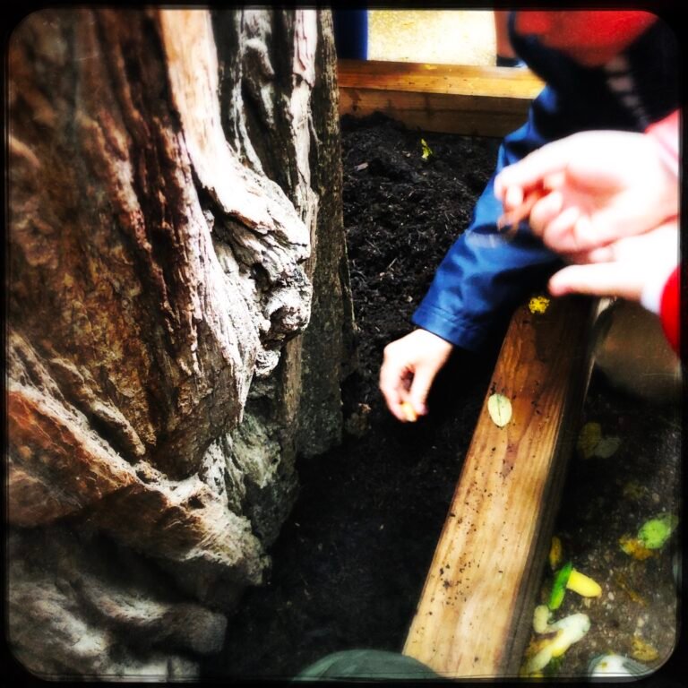 HipstamaticPhoto-750864513.824746