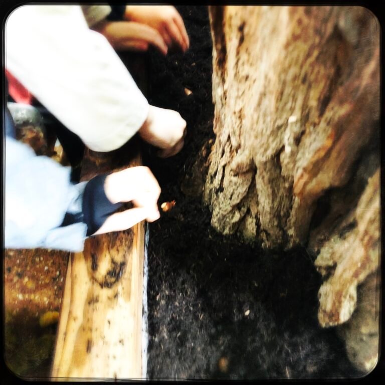 HipstamaticPhoto-750864547.780534