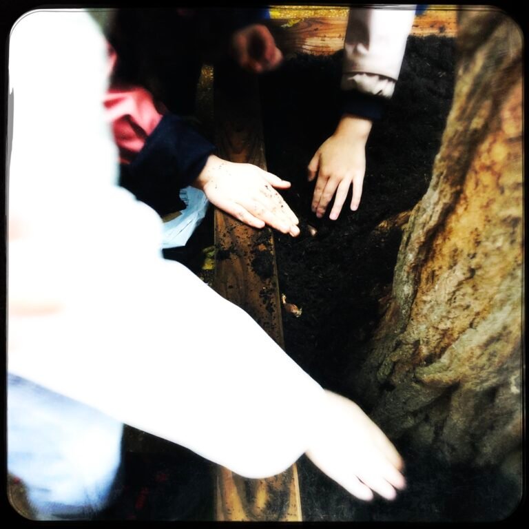 HipstamaticPhoto-750864551.501669