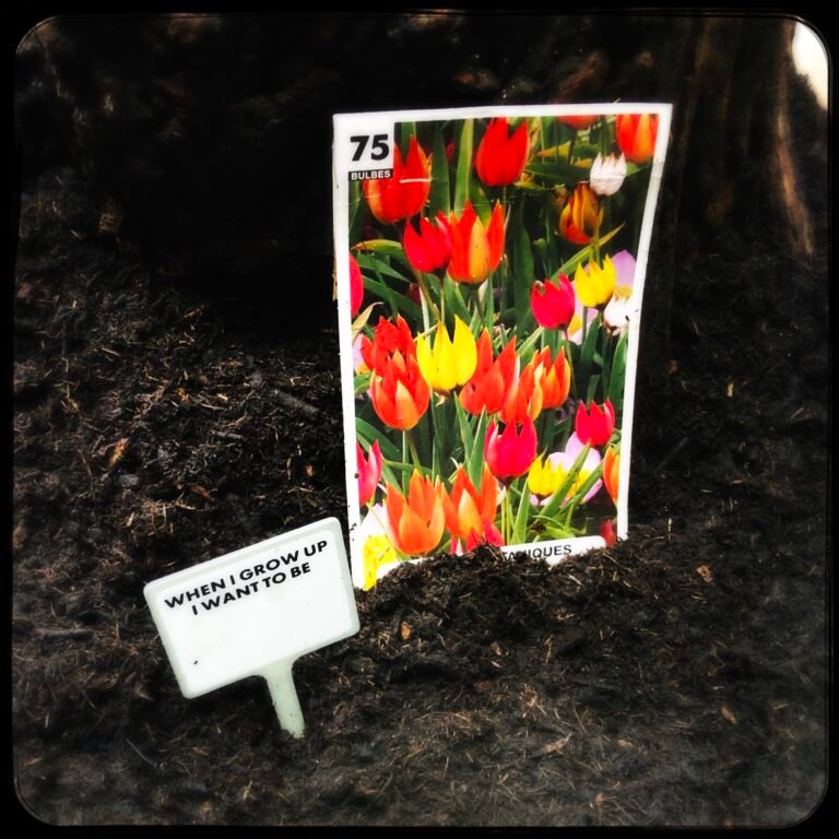 HipstamaticPhoto-750864678.144660