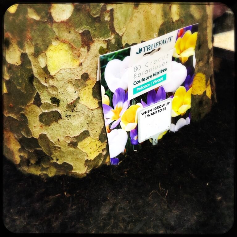 HipstamaticPhoto-750865223.683442