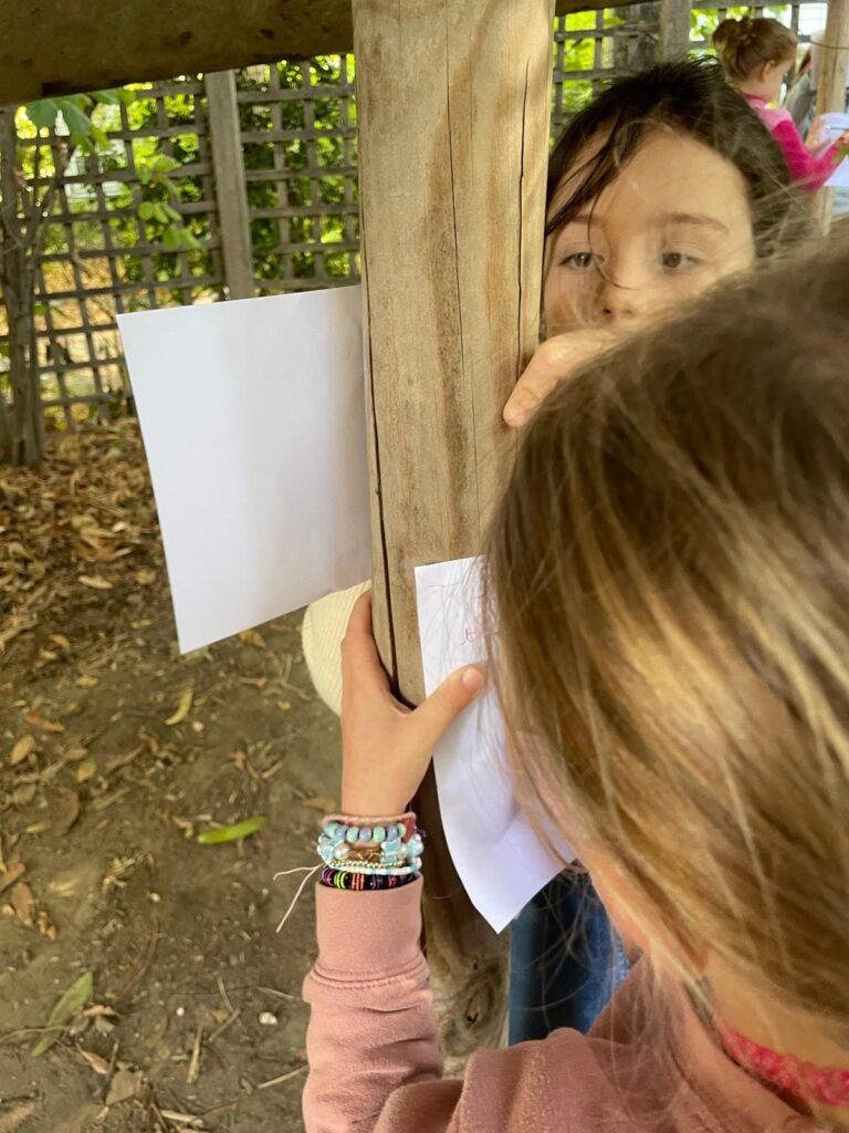 WhatsApp Image 2025-10-20 at 15.18.27 (5)