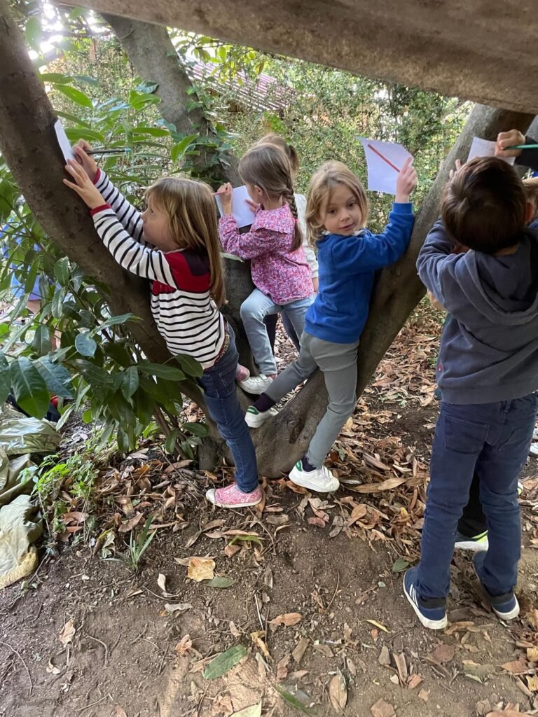 WhatsApp Image 2025-10-20 at 15.18.27 (6)