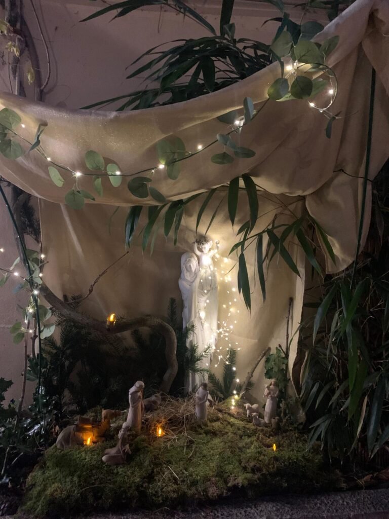 WhatsApp Image 2025-12-19 at 14.47.50